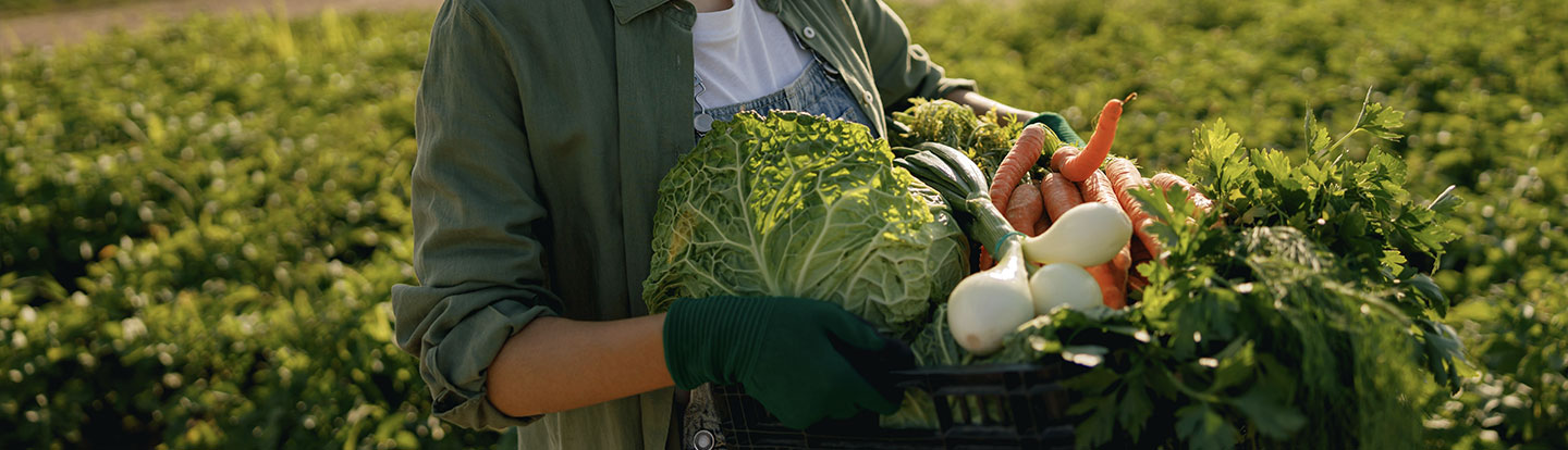 cestino di verdure nel prato