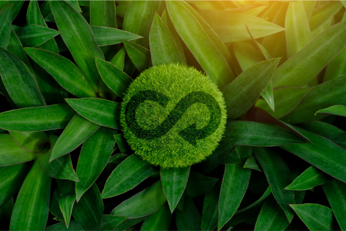 simbolo infinito circolarità su foglie verdi