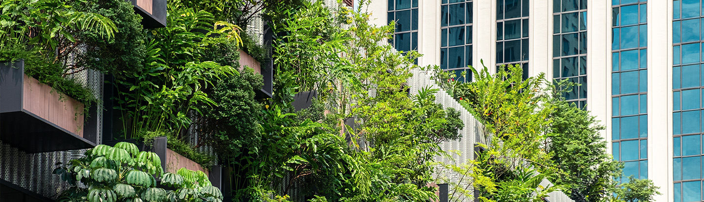 terrazzi di un palazzo con i balconi con piante e alberi rigogliosi